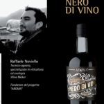 L’azienda Aroma fine Wines dell’enologo Raffaele Noviello
